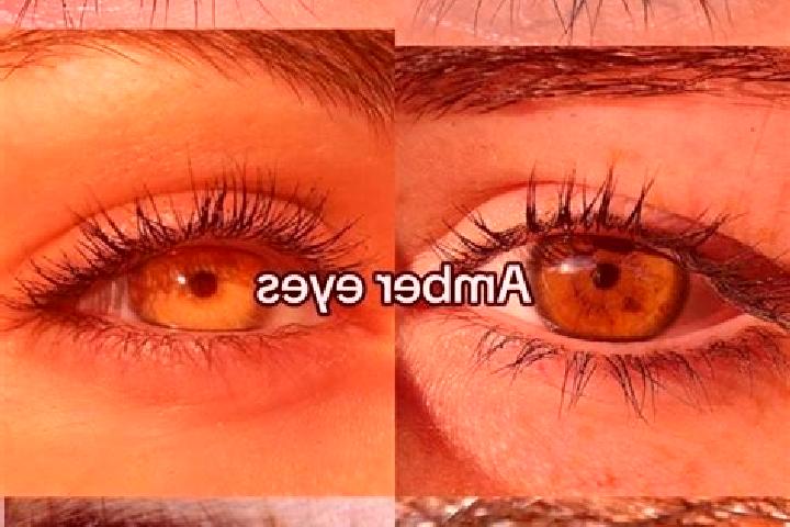 Mia, 21, a chestnut amber-eyed caribbean companion based in Lopou. Offering Fetish, Duos, 69. Available for incall and outcall, overnight bookings available.