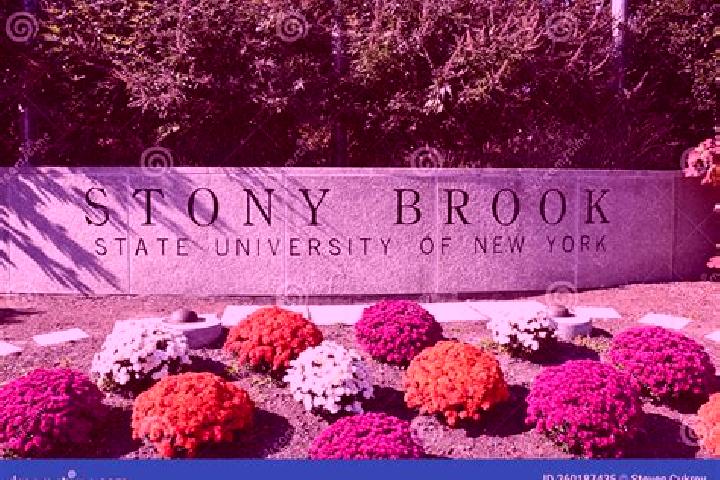 Mia, 22 — Escort in Stonybrook, United States