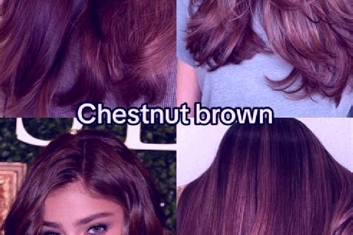 Mia, 25, a chestnut brown-eyed caucasian companion based in Ct 0013. Offering Girlfriend Experience, Deep French Kissing, Massage. Available for incall and o...