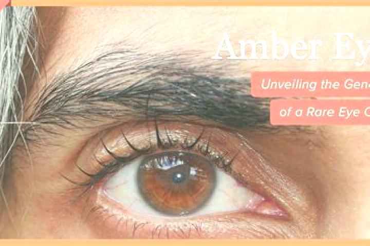 Mia, 25, a red amber-eyed mixed companion based in Kosiv. Offering CIM, OWO, 69. Available for incall and outcall, day and evening dates.