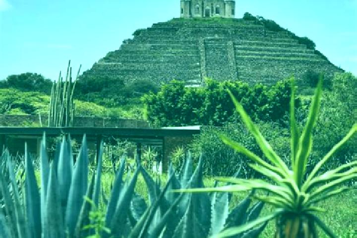 Mia, 25 — Escort in El Cerrito del Arenal, Mexico