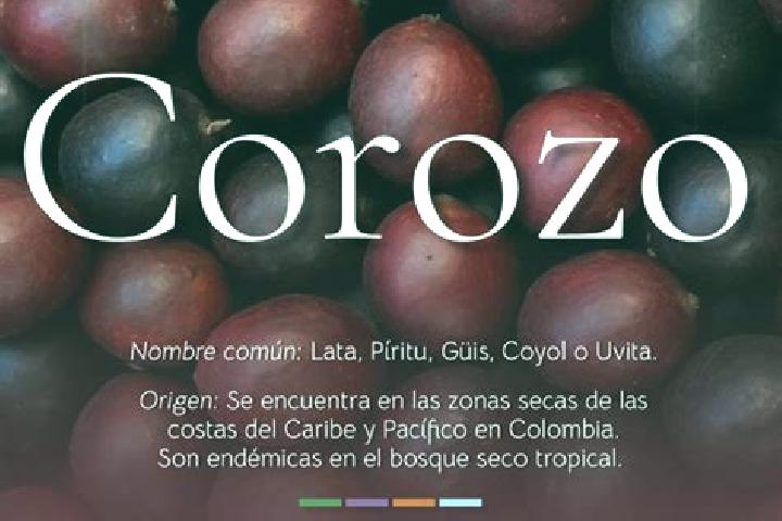 Mia, 26 — Escort in El Corozo, Venezuela
