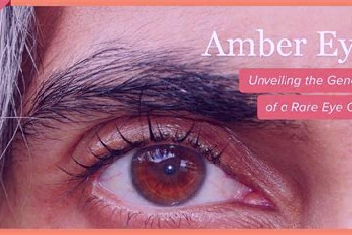 Mia, 27, a red amber-eyed caucasian companion based in Ixcacuatitla. Offering Party Girl, GFE, Domination, Massage, Striptease. Available for incall and outc...