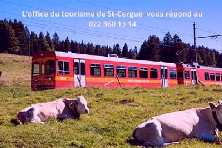 Mia, 28 — Escort in Saint-Cergue, Switzerland