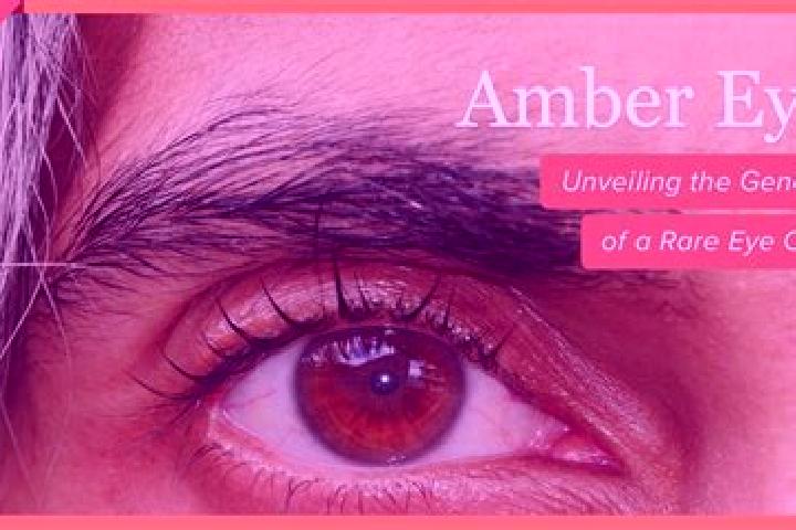 Mia, 30, a red amber-eyed indian companion based in Gooburrum. Offering BDSM, GFE, Girlfriend Experience, Domination. Available for incall and outcall, overn...