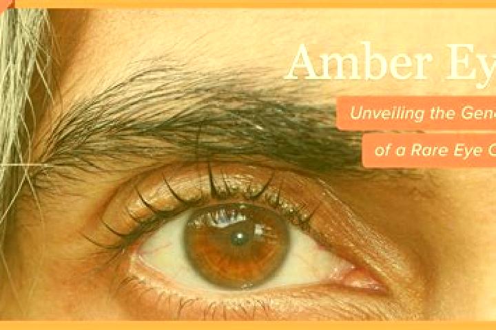 Mia, 31, a red amber-eyed mixed companion based in Jowlarestan. Offering Girlfriend Experience, Tantra, Couples, GFE. Available for incall and outcall, overn...