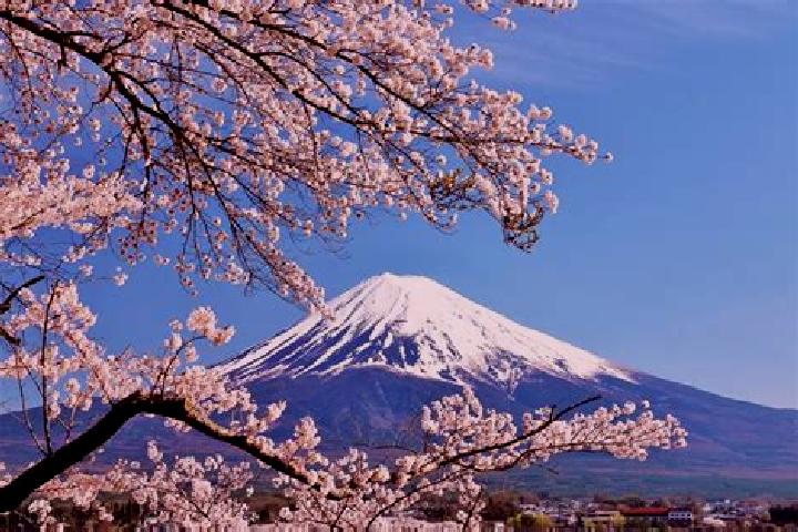 Mia, 32 — Escort in Koshi, Japan
