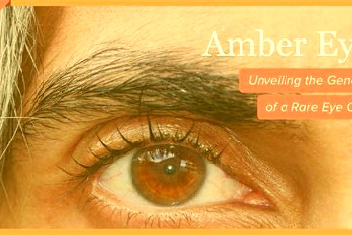 Mia, 34, a black amber-eyed european companion based in Arni. Offering Dinner Date, OWO. Available for incall and outcall, day and evening dates.