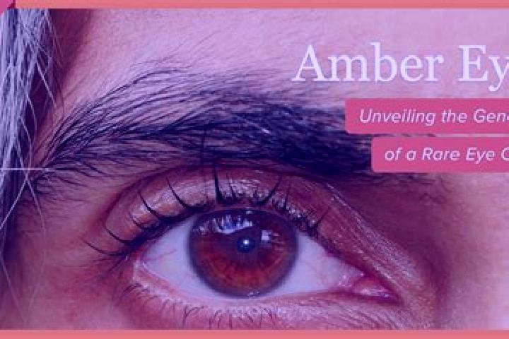 Mia, 34, a black amber-eyed mixed companion based in San Po Kong. Offering CIM, Overnight, 69, Girlfriend Experience, A-Level. Available for incall and outca...