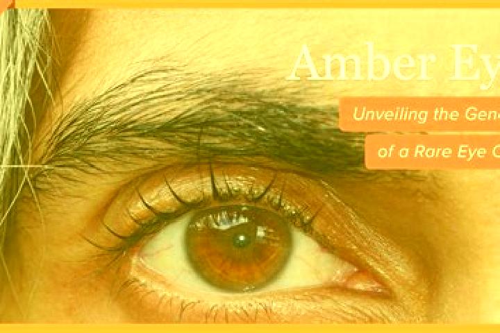 Mia, 34, a red amber-eyed indian companion based in Dolfield. Offering Roleplay, Prostate Massage, Striptease. Available for incall and outcall, day and even...