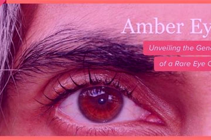Mia, 36, a black amber-eyed slavic companion based in Rietmolen. Offering Massage, Striptease, Party Girl, Fetish. Available for incall and outcall, overnigh...