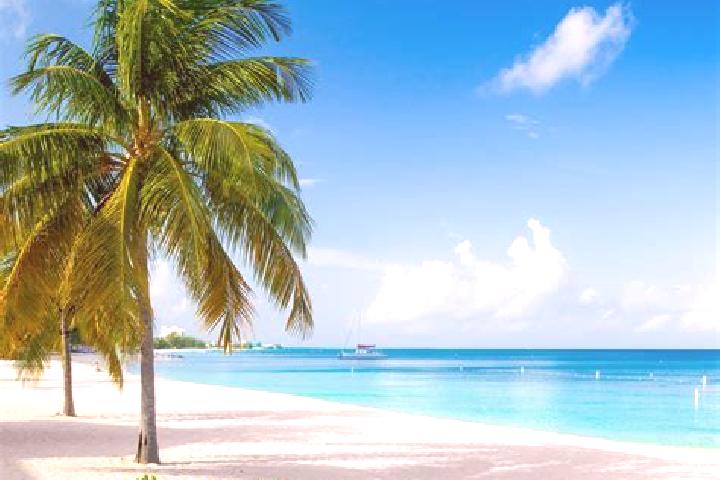 Mia, 36 — Escort in Brinkleys, Cayman Islands