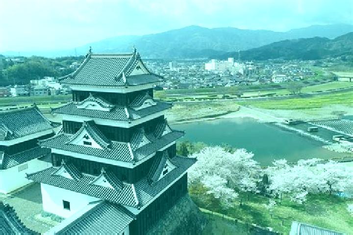 Mia, 39 — Escort in Ozu, Japan