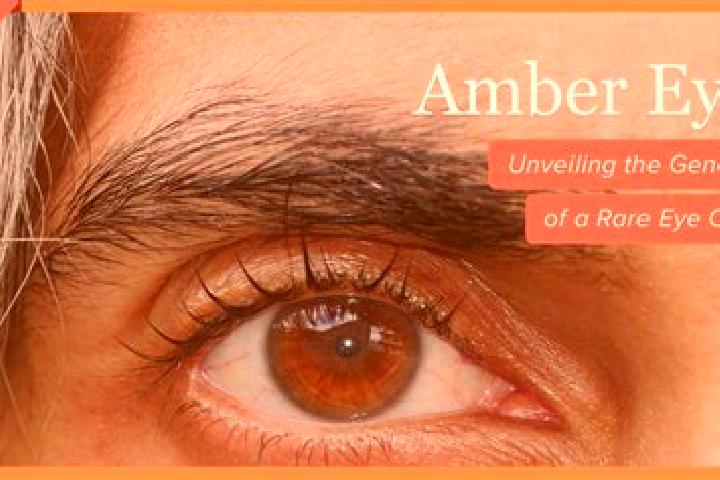 Mila, 21, a black amber-eyed caucasian companion based in Ex-Vinedos Guadalupe. Offering Overnight, Duos, OWO, 69. Available for incall and outcall, day and ...