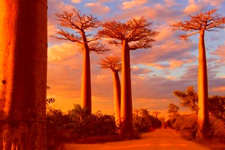 Mila, 21 — Escort in Morondava, Madagascar