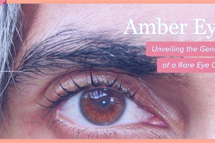 Mila, 22, a red amber-eyed caucasian companion based in Limington. Offering Erotic Massage, Overnight, Massage, Party Girl, Travel Companion. Available for i...