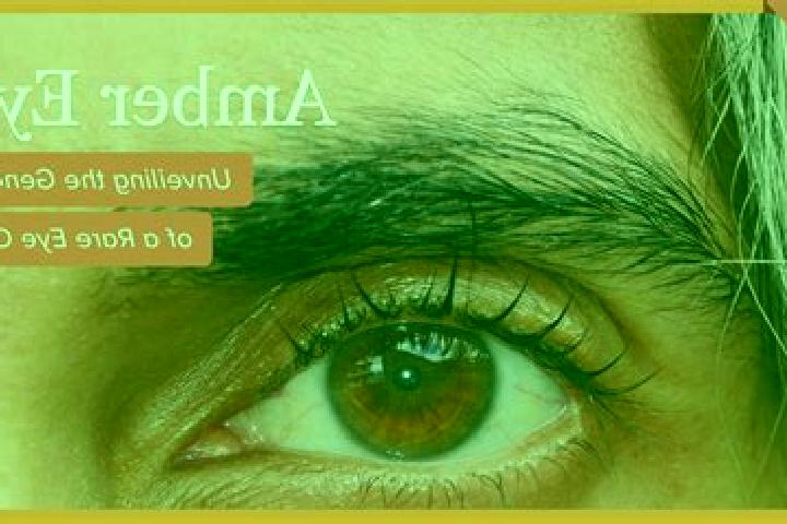 Mila, 23, a red amber-eyed middle eastern companion based in Vijayanagar. Offering Party Girl, Striptease, A-Level, Travel Companion. Available for incall an...