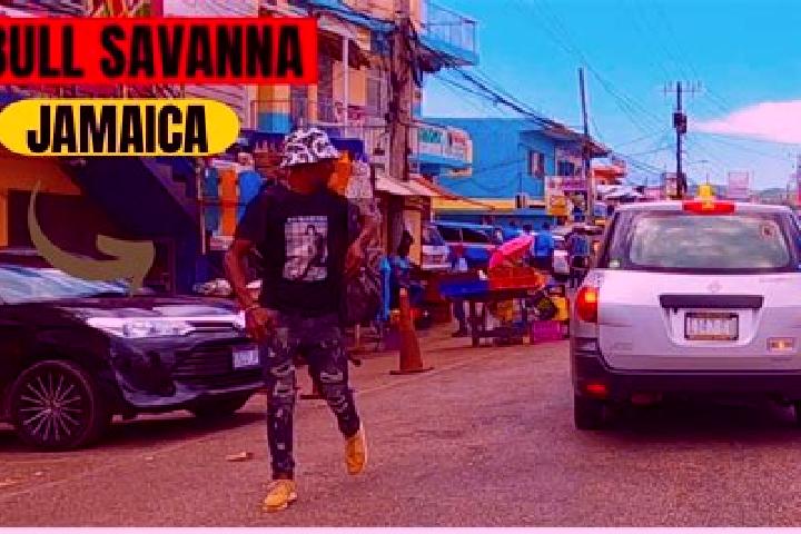 Mila, 23 — Escort in Bull Savannah, Jamaica