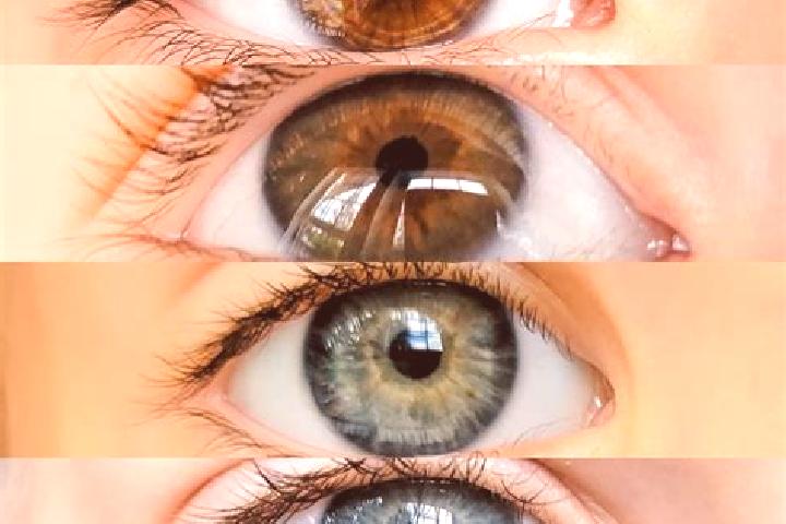 Mila, 25, a chestnut amber-eyed mixed companion based in Kirchberg in Tirol. Offering Party Girl, Tantra, OWO, CIM, Striptease. Available for incall and outc...