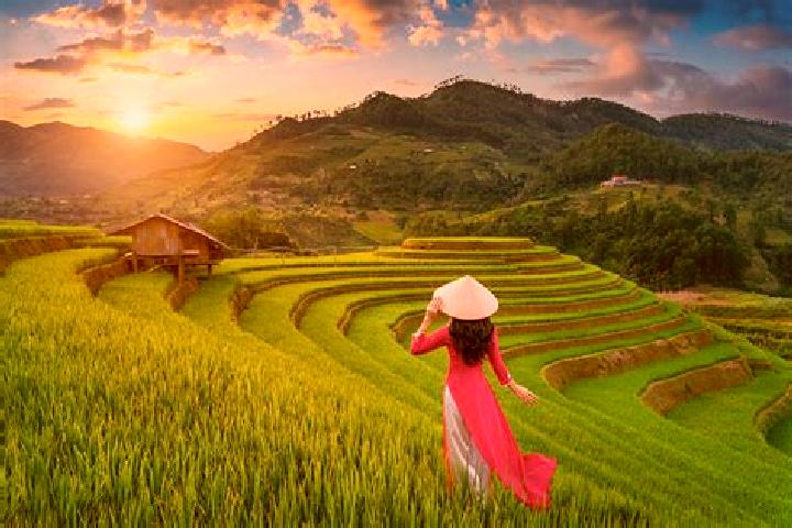 Mila, 25 — Escort in Mu Cang Chai, Vietnam