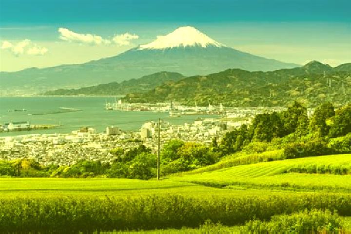 Mila, 29 — Escort in Shizuoka, Japan