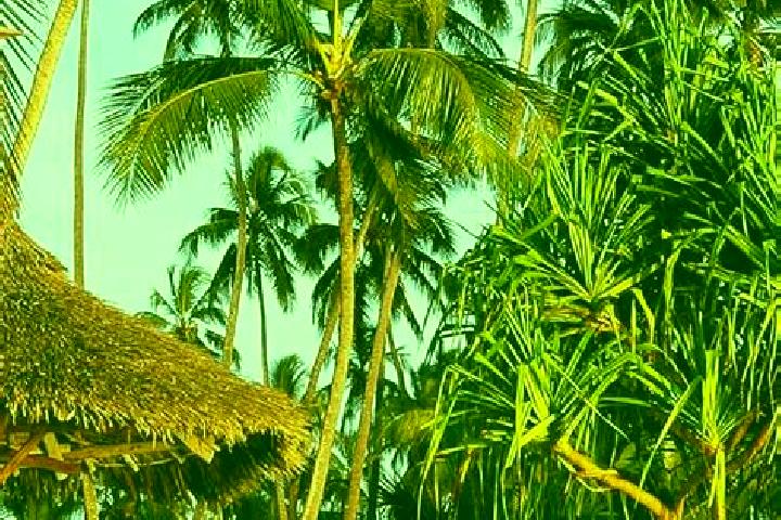 Mila, 32 — Escort in Kiratu, Tanzania