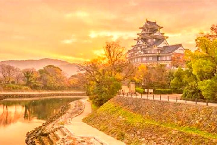 Mila, 34 — Escort in Satosho, Japan