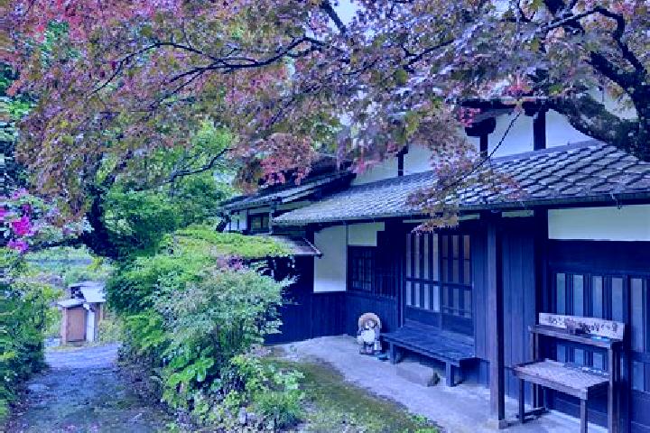 Mila, 34 — Escort in Ukiha, Japan