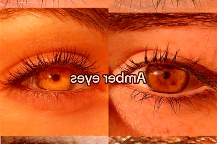 Mila, 35, a brunette amber-eyed mixed companion based in Butler. Offering Girlfriend Experience, GFE, A-Level, Striptease, Prostate Massage. Available for in...