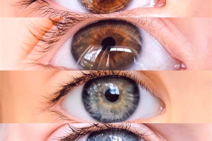 Mila, 35, a chestnut blue-eyed middle eastern companion based in Imamusagi. Offering Overnight, Massage, Domination, BDSM. Available for incall and outcall, ...