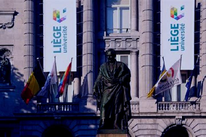 Mila, 36 — Escort in Liege, Belgium