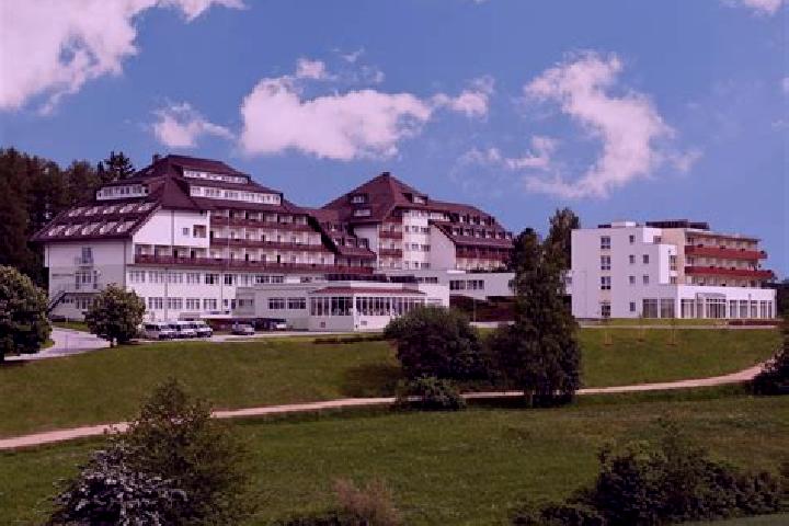 Mila, 36 — Escort in Ottenschlag im Muehlkreis, Austria