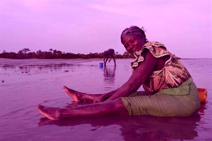 Mila, 36 — Escort in Sudowol, Gambia