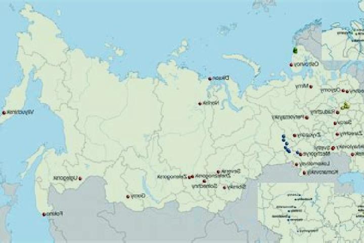 Mila, 38 — Escort in Sinodskoye, Russia