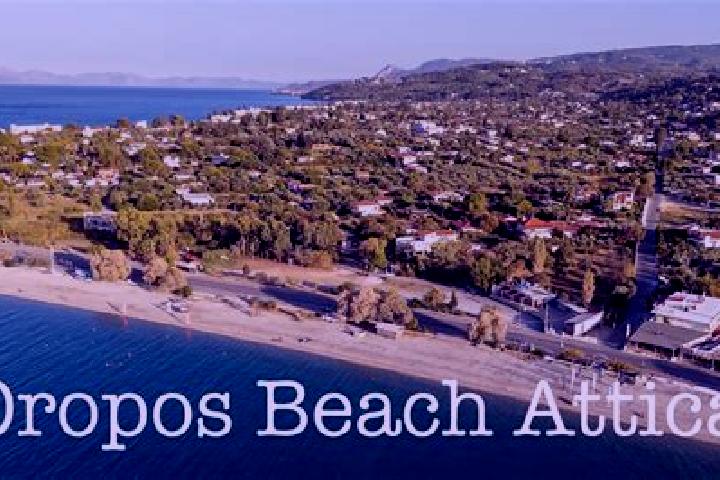 Naomi, 23 — Escort in Oropos, Greece