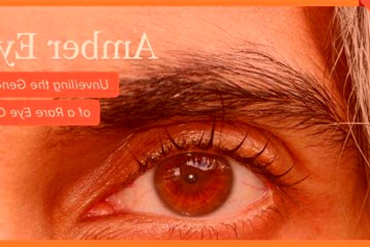 Naomi, 26, a red amber-eyed indian companion based in Erbusco. Offering Prostate Massage, A-Level, OWO. Available for incall and outcall, overnight bookings ...