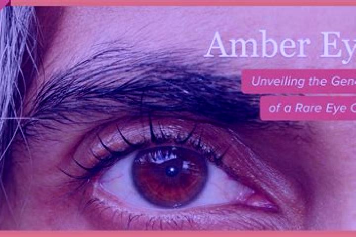 Naomi, 27, a black amber-eyed indian companion based in Digora. Offering Girlfriend Experience, CIM, A-Level, Striptease. Available for incall and outcall, o...