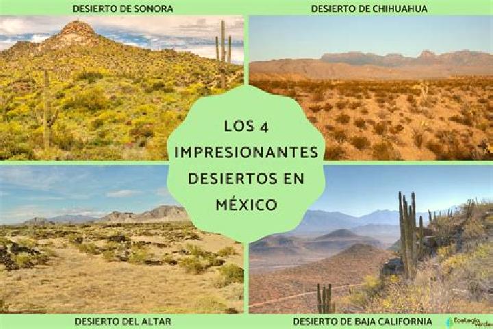 Naomi, 28 — Escort in El Desierto, Mexico