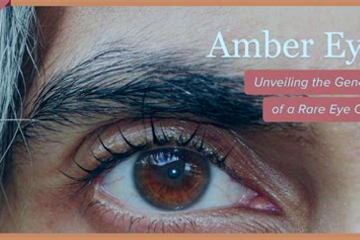Naomi, 31, a black amber-eyed indian companion based in Caraglio. Offering Tantra, A-Level, OWO, Domination. Available for incall and outcall, overnight book...
