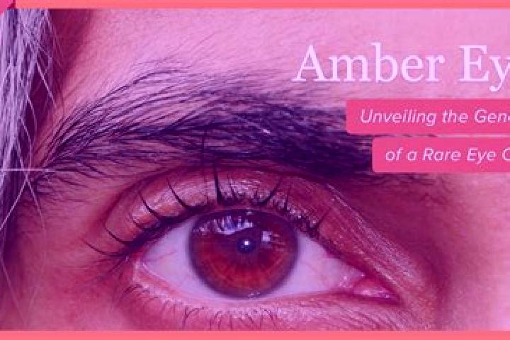 Naomi, 32, a red amber-eyed european companion based in Balwyn North. Offering Girlfriend Experience, Erotic Massage, Fetish, Striptease. Available for incal...
