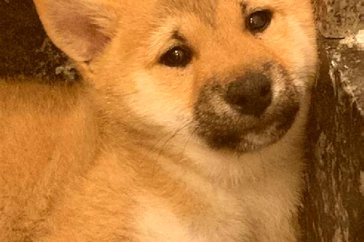 Naomi, 32 — Escort in Shiba, China