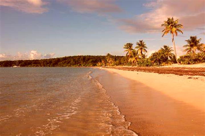 Naomi, 33 — Escort in Vieques, Puerto Rico