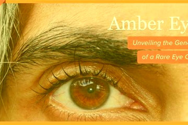Naomi, 35, a black amber-eyed caribbean companion based in Gambiran Satu. Offering A-Level, Girlfriend Experience, 69. Available for incall and outcall, over...
