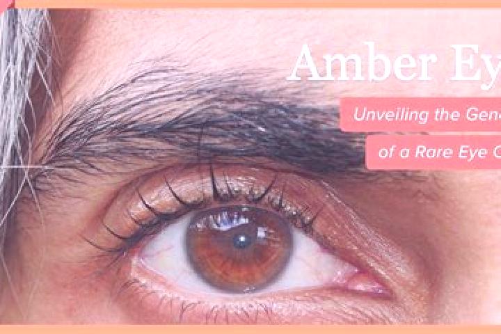 Naomi, 36, a black amber-eyed mixed companion based in Lido. Offering Tantra, Prostate Massage, Dinner Date, CIM, A-Level. Available for incall and outcall, ...
