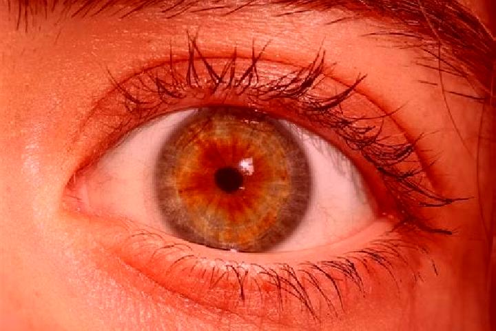 Naomi, 37, a red hazel-eyed european companion based in Chambon. Offering Domination, OWO, CIM. Available for incall and outcall, day and evening dates.