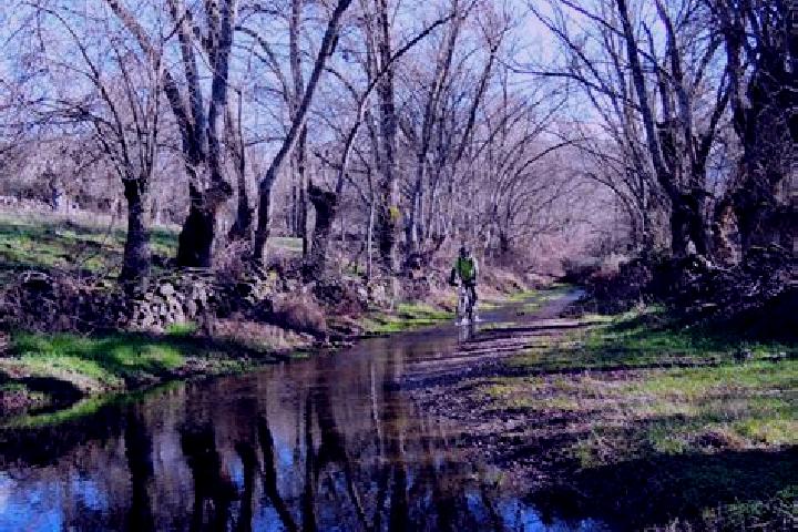 Naomi, 37 — Escort in San Bartolome de Corneja, Spain