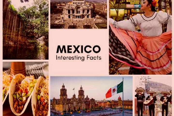 Naomi, 38 — Escort in El Saneal, Mexico