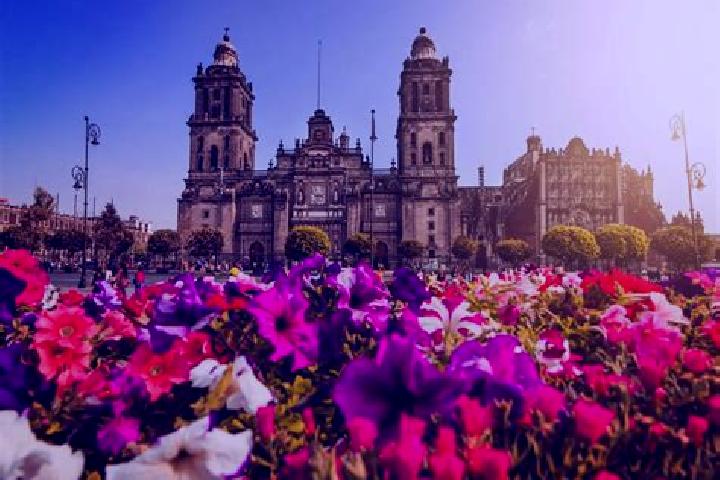 Naomi, 39 — Escort in Ciudad Maya, Mexico