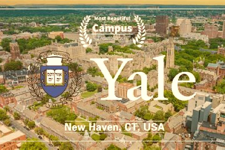 Natalie, 21 — Escort in Yale, United States