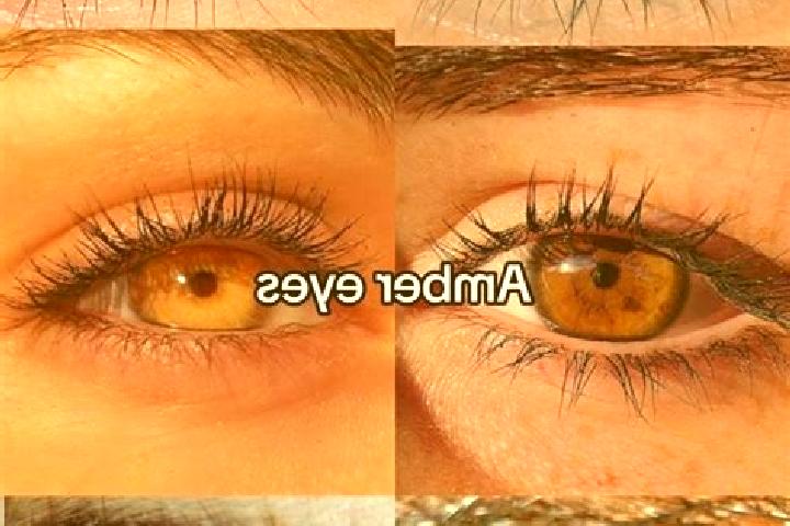 Natalie, 22, a chestnut amber-eyed mixed companion based in Lichte. Offering Couples, Tantra, Travel Companion, BDSM. Available for incall and outcall, overn...